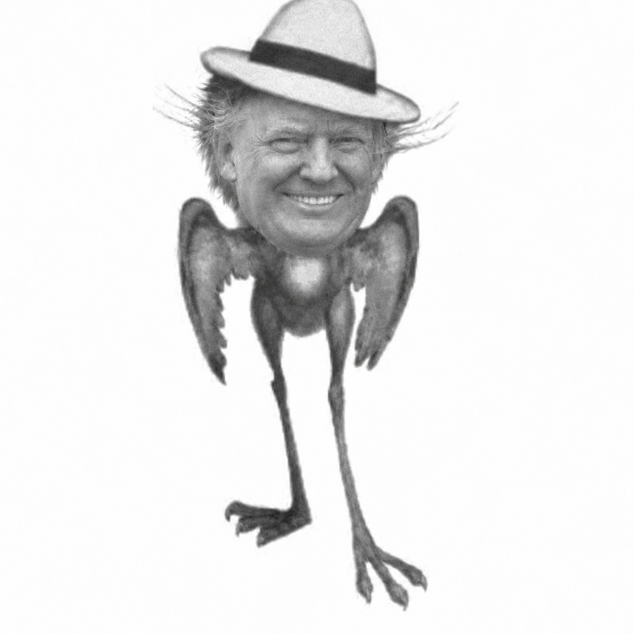JubJub Trump